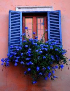 
                    
                        Blue Shutters, Burano, Italy
                    
                
