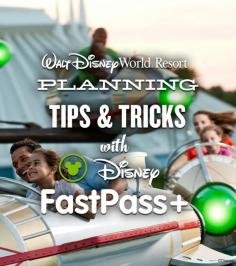 We loved the fast pass system.