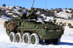 
                    
                        Stryker combat vehicle
                    
                