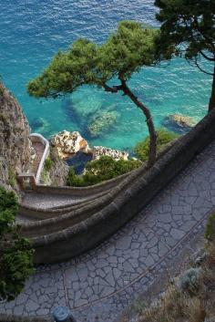 
                    
                        Capri, Italy #travel #photography #places #views #scenery #vacation #holiday #world
                    
                