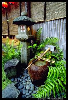 
                    
                        Japanese garden
                    
                