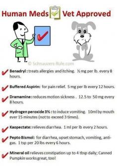 
                    
                        Good to know for any dog.
                    
                