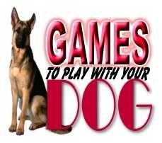 Games To Play With Your Dog. How to keep your dog mentally stimulated