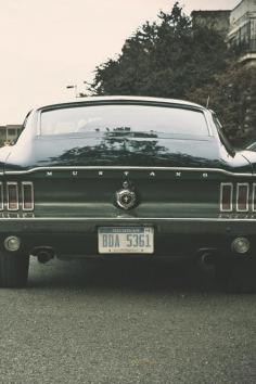 
                    
                        old Mustang
                    
                