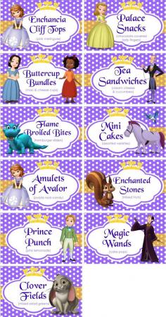 
                    
                        INSTANT DOWNLOAD  Food Labels Disney Sofia by TreFratelliParties, $5.00
                    
                