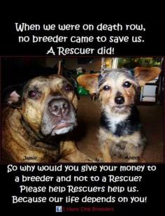 
                    
                        Rescue ! X
                    
                