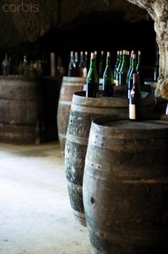 France, Loire, Bourgueil, Wine bottles on barrel in cellar