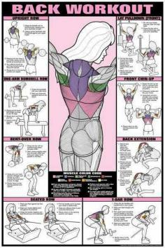 
                    
                        Back workouts & muscles
                    
                