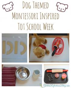 
                    
                        4 fun activities for a dog themed montessori inspired tot school week at home. www.GoldenReflect...
                    
                