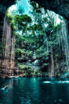 Ik Kil cenote. Breathtaking...especially when you jump from 12 feet up into the water