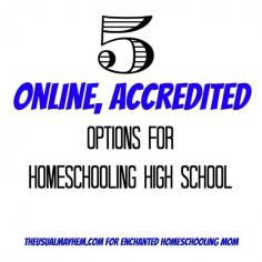 
                    
                        Homeschooling in High School can be tough to find courses for. To make this easier, take a look at these 5 great options for your homeschooling needs!
                    
                