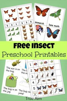 
                    
                        15 Pages of Free insect preschool printables! Includes number clip cards, insect flash cards, patterns, an early reader and more!
                    
                