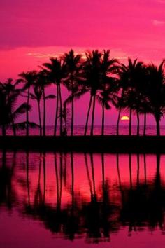 Pink sunset + palm trees= GORGEOUS!!!