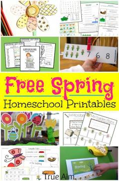 
                    
                        Over 500 pages of Spring Homeschool Printables for Free - Nature studies, easter printables, coloring pages and more for Prek - Elementary
                    
                