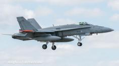 
                    
                        Boeing F-18 Hornet
                    
                