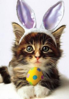 Easter Purrfection