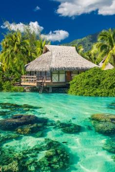 Maldives Islands #travel