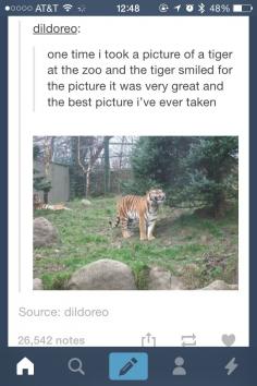 Zoo animals livin it up