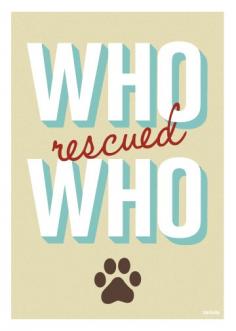 
                    
                        Who rescued who? #dogs
                    
                