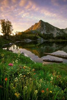 Wallowa Mountains, Oregon -- My grandmother was born here and it is one of the most beautiful places on earth