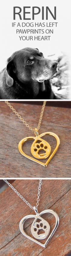 
                    
                        I love these! Great way to remember a furry friend who crossed the rainbow bridge! iheartdogs.com/product/paw-in-heart-gold/?utm_source=PinterestAd_RepinPawOnHeart&utm_medium=link&utm_campaign=PinterestAd_RepinPawOnHeart
                    
                