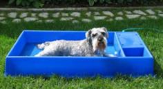 Inventor Spot - 10 Hot Products to Keep Your Pets Cool