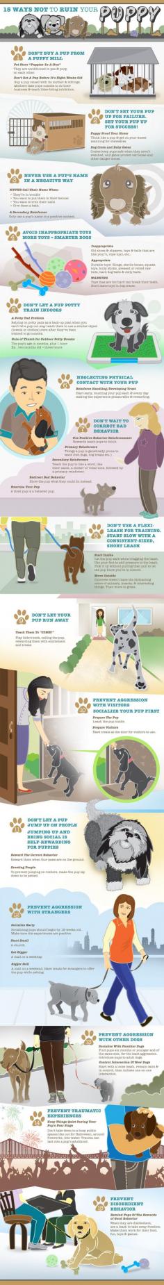 Puppy Training Tips - for the future