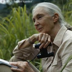 
                    
                        Wish Dr. Goodall a Happy Birthday! | the Jane Goodall Institute
                    
                