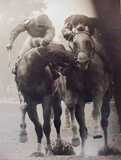 "The Savage" an Eclipse Award Winning photograph. Great Prospector taking a bite out of his competition (known as savaging in horse racing), Golden Derby. Golden Derby won the 1980 Tremont Stakes despite this bit of bullying.