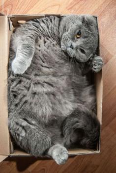 
                    
                        I fits.
                    
                