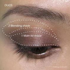 dhaunea:  makeupbox:  How to use Duos, Trios, Quads, Quintets???! (A few basic shapes that work with all eye shapes) The first thing I always tell people when it comes to eye shadow application is - find your socket line. And learn to separate that from your crease.   There is a myth about applying shadows “on/within your crease”. Well that’s fine if you have very defined, even, thick lid folds. But if you have hooded eyes, mono-lids, or smaller lids where the crease is either not visible or not high enough, many eye-shadow looks can be very unflattering or they simply disappear when you open your eyes.  What to do? Simply replace the word “crease” with “socket line” from today on. If you have mono-lids and hooded lids, it’s important to blend your shadows UP TO your socket line at least. That not only defines your natural contours but also widens the eye.  Your socket line is where your eyeball dips into your orbital bone. Close your eyes and feel for it. Flattering eyeshadow looks are all about "creating shadow and light" in the right places. Even if your eye contours aren’t very defined naturally, placing a bit of deeper color along your socket line and a pale shade in the center of your lid will create the illusion of more pronounced contours without making you look too dramatic. I DON’T recommend creating a fake socket line higher or lower than your natural one. It can go very very wrong unless you’re an absolute pro. Many times we use brushes that are way too big or fluffy. If you have small lids or eyes, a smaller, round-ferrule pencil brush like the one from 13rushes can make life a lot easier. Go for the flatter, wider brushes if you have a bigger lid space to work with.   Now that we’ve got that covered, you can get back to the question of “what the heck do I do with this palette that has 2-3-4-5 shades?!” and look at the images above as a reference for where colors go.  Don’t be restricted by the image with the 4 shadow palettes and the labels on each of the shades. It’s there as a reference but the best thing is to look at the eye charts, because you can use any 2 shades in a quad or a 5-color palette as a duo using a DUO diagram. Steps don’t include liner (optional) and mascara, so you just add them later. THESE ARE NOT RULES. They’re just basic guidelines for those who aren’t too familiar with eye makeup yet.  Lastly, when looking for eyeshadow palettes, here are some beginners’ tips: My palette has one cream/liner/glitter shade! Well, take those out of the equation and see how many regular shadows are left. If there are 3, shadows left, follow the TRIO diagram. If there are 2, follow the DUO diagrams.  Erm, so what do I do with base/liner/glitter shades? Apply the base all over from lash line to socket bone before you begin (you don’t need to go all the way to your brows unless you want a dramatic look). For glitter shades, you can apply them as a wash all over when you’re done with the rest of your eyeshadows, or down the center of the eye for a “wet look” when you blink. Liner shades are self explanatory! DUOS: look for those where 1 shade is the same lightness or lighter than your skin color, and 1 shade is darker/smokier. Doesn’t matter if they are metallic, shimmery, matte, sparkly. For most basic daily makeup looks, you just need a light and dark to define your eyes.  All palettes: make sure there is a "balance of light to dark shades". This means at least 1 softer shade and at least 1 dark shade that is deep enough to act as a definer shade. (There are a lot of palettes where all 3-4 shades are pretty shimmery pastels. Well, sorry but they’ll look nicer on your vanity table than on your face. You need a darker shade there for definition and contouring in order for the palette to look flattering.  QUADS: What do you do if there are 2 pale shades? Which should you apply on your brow bone, and which as an accent in the center of your eye? The less shimmery/sparkly one on the brow bone, and the more dramatic and reflective one on the center of the eye. If they’re about the same texture, then it doesn’t matter which you use where. 5-6 SHADE PALETTES: Many people find them overwhelming, but you really don’t need to wear all the colors everyday. You can pick 2-3 shades and wear them as a duo or trio (See diagrams) easily. So they actually give you the most options!  Some Idiot-proof Eyeshadow recommendations: Duos: Laura Mercier eyeshadow duos. Always well coordinated, with 1 soft/matte shade and 1 darker, richer one. Takes the guess-work out of eyeshadow application. Trios: A lot of drugstore brands like Wet n Wild Color Icon have pre-coordinated trios with the shades marked out as lid, crease, browbone for you. Just remember “crease” = socket line. In the higher end range, Dior’s 3 Couleurs are beautifully coordinated and easy to use and blend. Quads: Tom Fords and Chanels have some of the easier to use luxe quads in the market, but if you’re going for the Tom Fords, remember to minus out the sparkle shades. (E.g. 01 Golden Mink is what I’d consider a duo, not a quad, because there are 2 sparkle shades out of the 4, and I’d apply the 2 satin shades using one of the DUO diagrams above, and then decide how I want to apply the sparkles.)  **Laneige Pure Radiant eyeshadow quads (S$40) are a fantastic alternative - not dupes cos there are no exact palette matches, but great alternatives - for Tom Fords (S$100) because the satins and glitter textures, as well as a few of the shades, are actually very very similar. If you love the look of TFs but find the prices a little steep in Asia, take a look at the Laneige counter! See for yourself!   Quintets: Lancome’s Hypnose palettes are still one of my favorites. They usually have the BEST balance of dark and light shades, and they’re perfectly coordinated with each other, so you can pick any 2-3 shades out of the 5 and go.  **Diors are a good option if you have more mature lids or prefer smoother, more translucent pigments but the 5 couleurs are’t as well-balanced as Lancomes, so unless you’re very experienced and know how to add definition using liner and mascara, I’d pick a few colors and use these palettes as duos and trios rather than a quintet.  If you want to break the rules completely and do it like makeup artists do sometimes, NARS’ duos are pretty much on the opposite spectrum to Laura Mercier. They do have light vs dark shades too, but there are also tons of funky clashing duos designed for maximum drama on the lids. Stuff like Rated R (lime and blue) and Bysance (yellow and violet) can still be applied using the 2 DUO diagrams above, but the final effect will be VERY bold. Probably better for the club than for school or work.  So very relevant to my current interests.  Helpful if you’re trying to figure out what to do with the Aromaleigh “This Is My Design" colors. I have deep-set eyes, so yeah, I generally blend a "crease" color up to/over my socket line so you can even see it. I’m experimenting with some of the other colors to see what might blend well with the darker or more vivid shades; turns out that Tattler is really, really pretty blended with Everlasting Credit as your lighter shade, like a sunset. It also worked with Yarrow, a matte, and would probably work with a shimmer like Sophie. I’m still working out what might go with Ravenstag and Murder Tie.