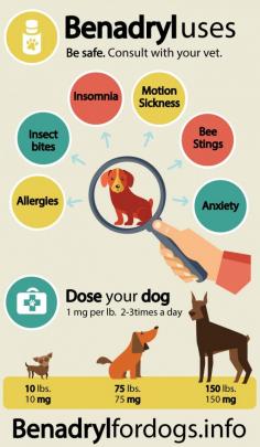 
                    
                        Benadryl dosage and uses for dogs
                    
                