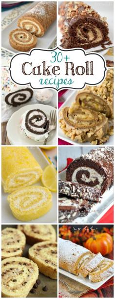 
                    
                        Over 30 Cake Roll Recipes
                    
                