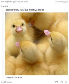 
                    
                        48 Times Tumblr Was Funny About Animals, some of these are the funniest I've seen in a while
                    
                