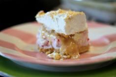 
                    
                        {Lemon Raspberry Ice Cream Bars}
                    
                