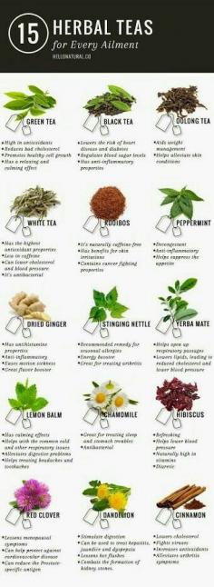 
                    
                        15 HERBAL Teas for AILMENTS 