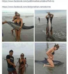 
                    
                        KEEP REPOSTING UNTIL WE CAN I.D. THESE IDIOTS WHO KILLED THIS POOR DOLPHIN. CALL THE POLICE IF YOU KNOW WHO THESE PEOPLE ARE. THEY ARE ANIMAL KILLERS!! LETS I.D. THEM AND SEND THEM TO PRISON. KEEP REPOSTING***
                    
                