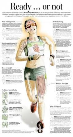 Going the Long Distance Run #Personal #Training #trainer #Weight-loss #workout #exercise #fitness Guide Infographic #Personaltraining #Fitness #Exercise #Personal #training #Trainer #Weight-loss #Diet #Nutrition