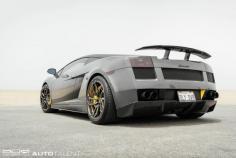 
                    
                        #Lamborghini Gallardo Superleggera PUR RS05 #Wheels #lambo #cars #supercars
                    
                