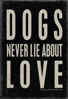 Dogs never lie about love. The only true friends !