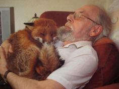 
                    
                        A very compassionate man and a loving beautiful fox.  Six years ago, Cropper was found in the street after a fight with dogs. Seriously injured and ill (toxoplasmosis), Cropper was nursed back to health by this man's patience, love and determination. Not strong enough to return to the wild, Cropper spends very happy days with his human friend.
                    
                