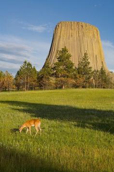 Visit Devils Tower in Wyoming