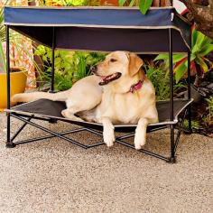 Quik Shade Medium Outdoor Instant Pet Shade with Elevated Mesh Bed in Navy - BedBathandBeyond.com