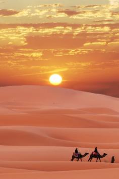 Beautiful Gold and Peach Colors In This Sunset Sahara Desert! #Sunset #Desert