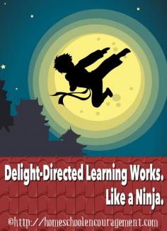 
                    
                        This is how delight directed learning worked for my son and how you can homeschool more happily.
                    
                