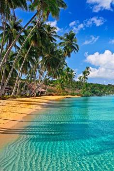 
                    
                        Beaches Turks & Caicos----Caribbean beaches, arguably the best beaches. Honeymoon
                    
                