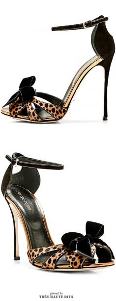 
                    
                        Sergio Rossi Fenice Printed Calfhair and Velvet Sandals ♔THD♔
                    
                