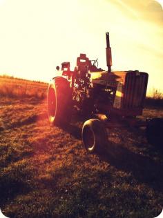 
                    
                        farmall tractors ♥
                    
                