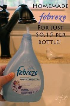 
                    
                        Febreze is great for keeping your home smelling nice but it is certainly not cheap. Aside from the cost, some air fresheners contain chemicals that you certainly do not want your family being around and certain brands can be harmful to pets. This DIY Febreze is from Life. Family. Love and is a...
                    
                