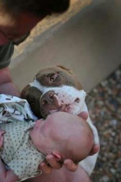 
                    
                        The expression of love on this dog's face shows how devoted it is!!!
                    
                